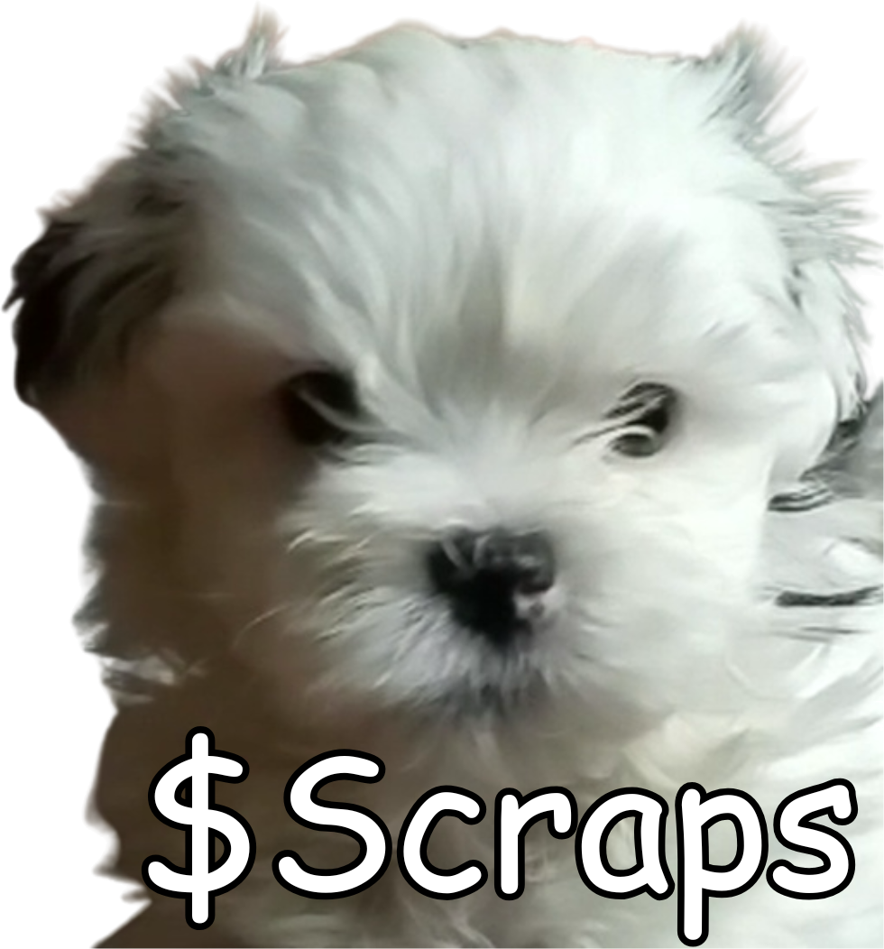 Chubby, the face of $SCRAPS